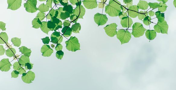 Thought Leadership