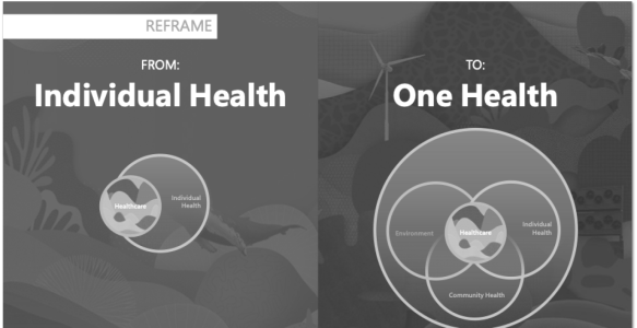 Sustainability Vision & Roadmap for Health Care